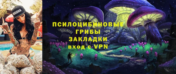 сатива Баксан