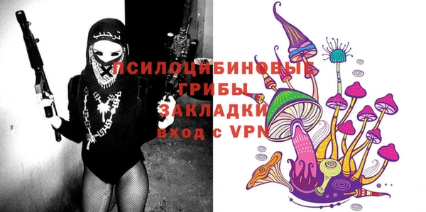 сатива Баксан