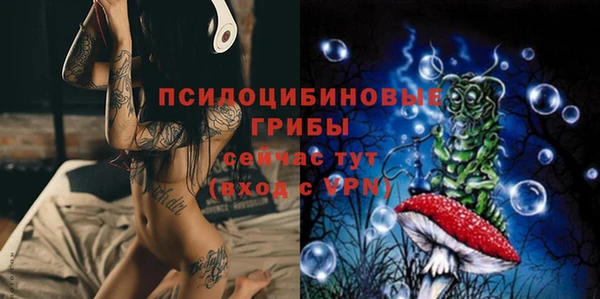 винт Балахна