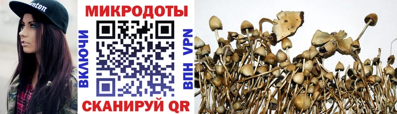 магазин    Зеленоградск  Галлюциногенные грибы Psilocybe 