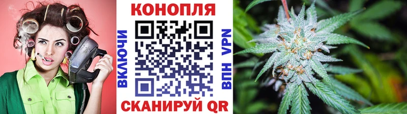 Конопля гибрид наркотики Зеленоградск
